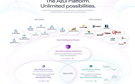 Azul Launches New Security Product