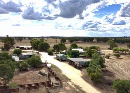 WFI says only a quarter of Australian farmers are considering cyber insurance